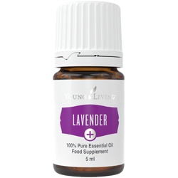 Lavender Young Living essentiële olie lavendel kruiden koken