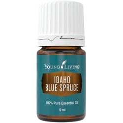 Idaho blue spruce young living essentiële olie oily animals stijve spieren, gewrichtspijn ontspanning